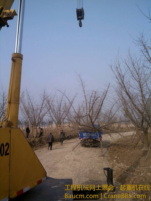 nEO_IMG_毛毛 478.jpg