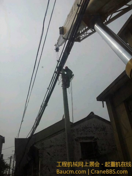 nEO_IMG_毛毛 494.jpg