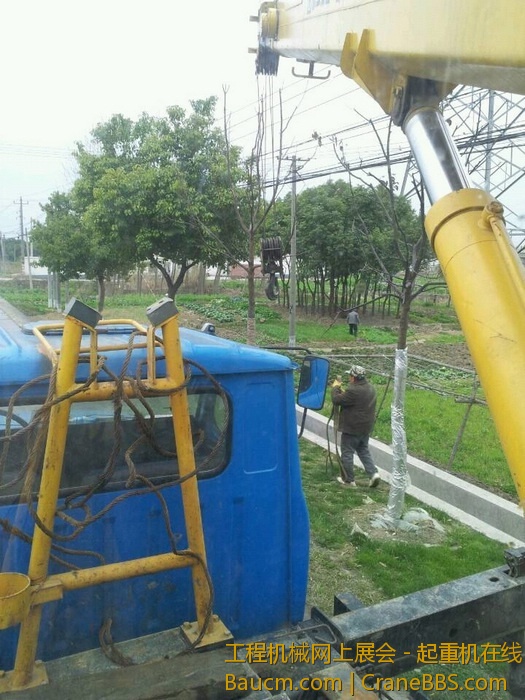 nEO_IMG_毛毛 500.jpg