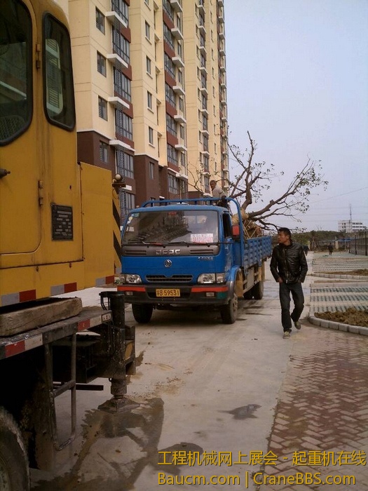 nEO_IMG_毛毛 501.jpg