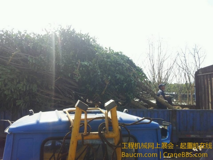 nEO_IMG_毛毛 505.jpg