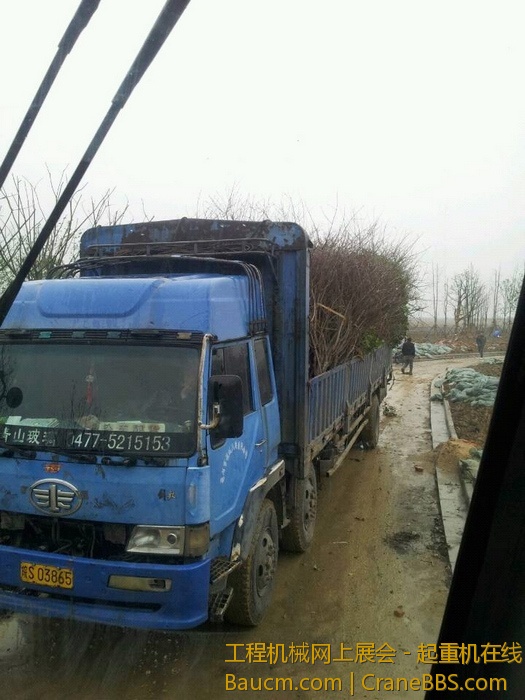 nEO_IMG_毛毛 488.jpg