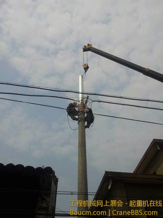 nEO_IMG_毛毛 489.jpg