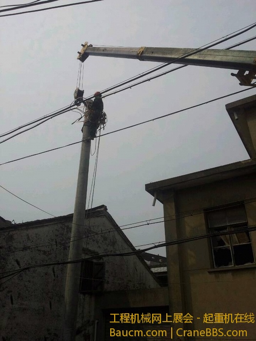 nEO_IMG_毛毛 491.jpg