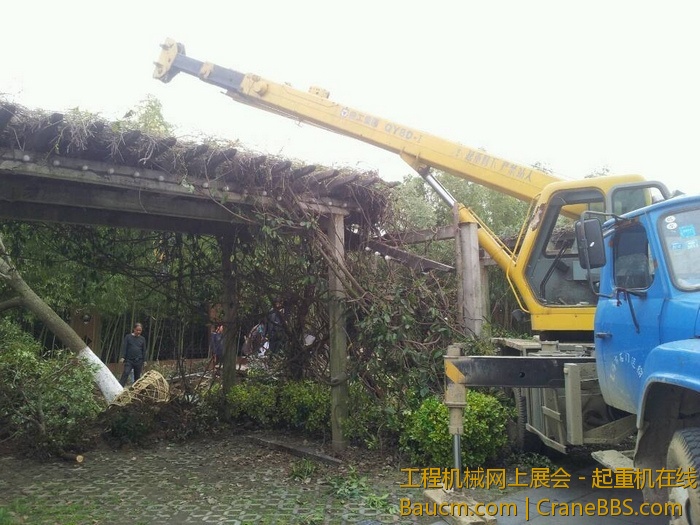 nEO_IMG_毛毛 569.jpg