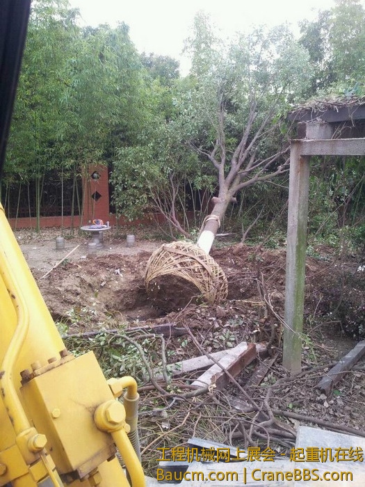 nEO_IMG_毛毛 570.jpg