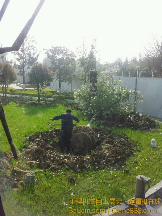 nEO_IMG_毛毛 576.jpg