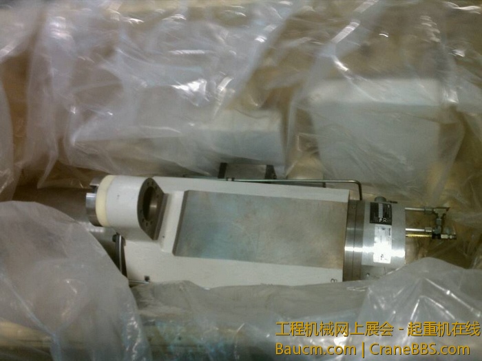 nEO_IMG_毛毛 453.jpg