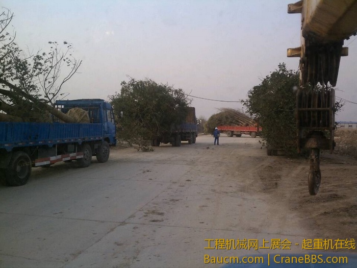 nEO_IMG_毛毛 506.jpg