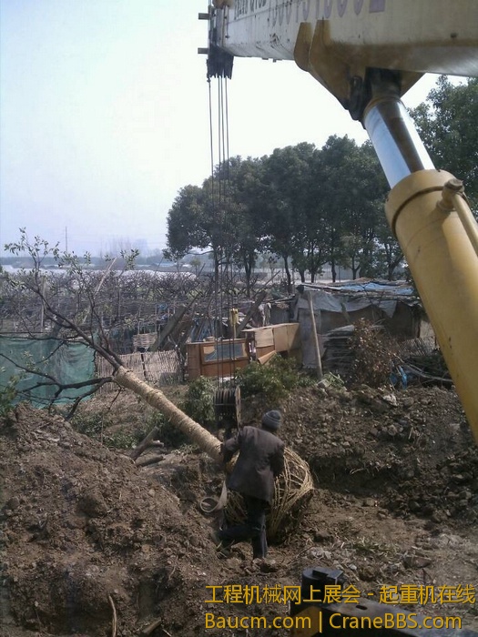 nEO_IMG_毛毛 515.jpg