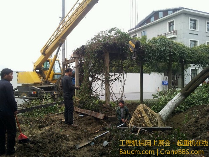 nEO_IMG_毛毛 568.jpg