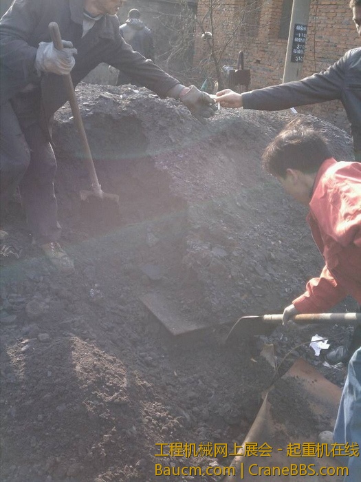 nEO_IMG_毛毛 521.jpg