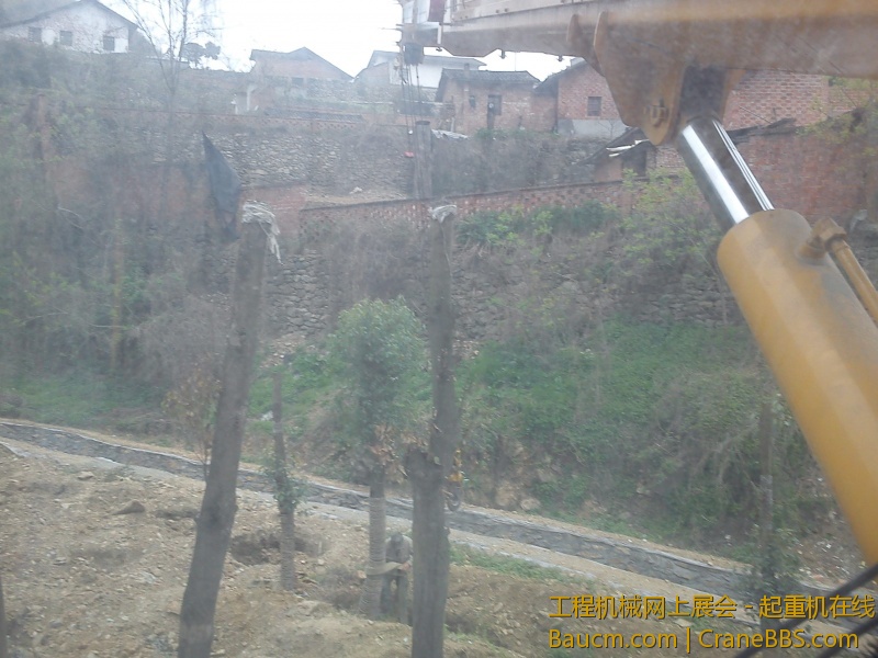 IMG_20130331_111136.jpg