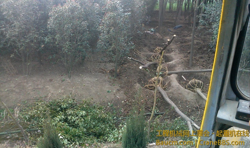 IMG0329154400.jpg