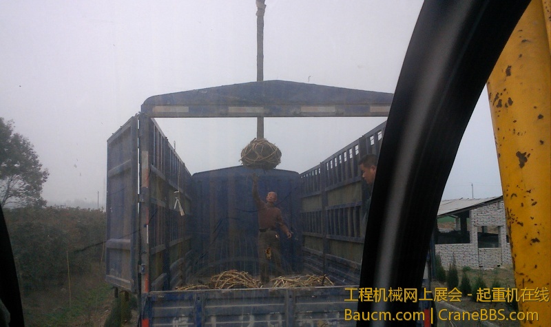 IMG0329152901.jpg