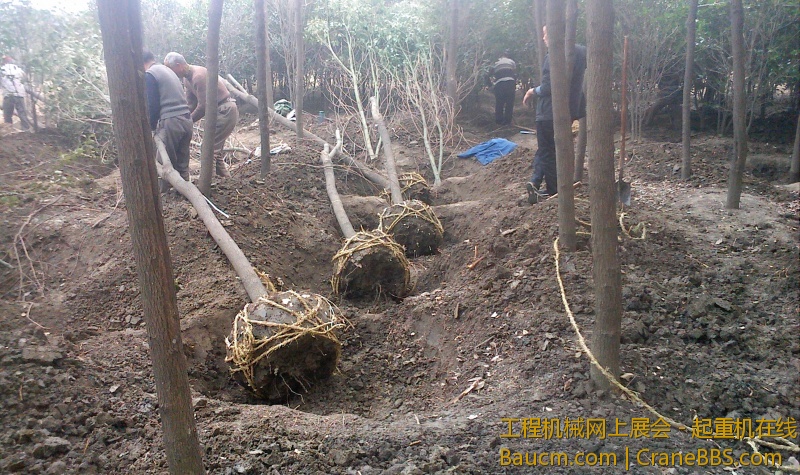 IMG0329161000.jpg