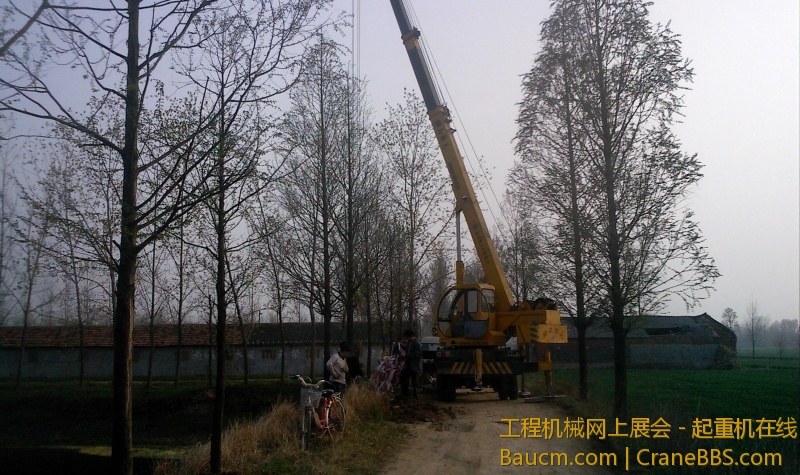 IMG0401172201.jpg