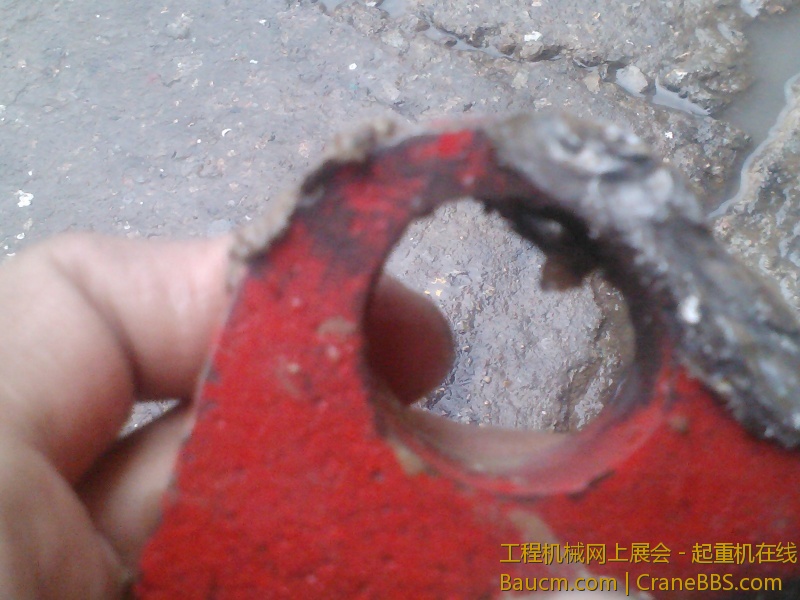 IMG388.jpg
