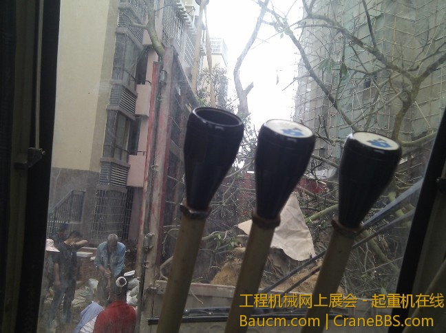未命名树1.jpg