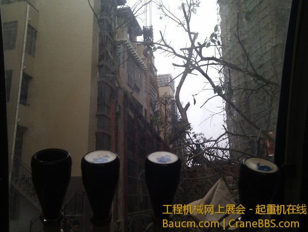 未命名树2.jpg
