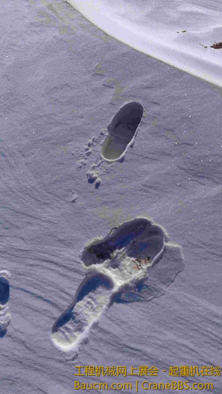 第二天早上来吊风叶，发现晚上下雪不小