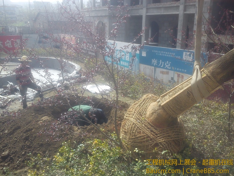 IMG_20130408_152427.jpg