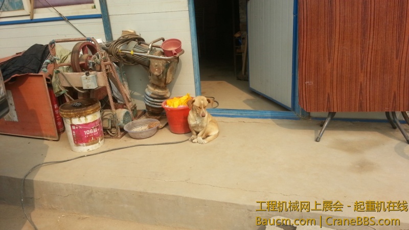 20130326_104402.jpg