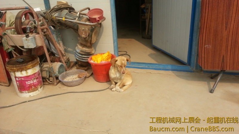 20130326_104414.jpg