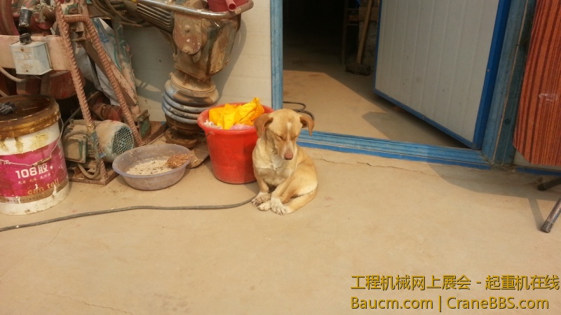 20130326_104440.jpg