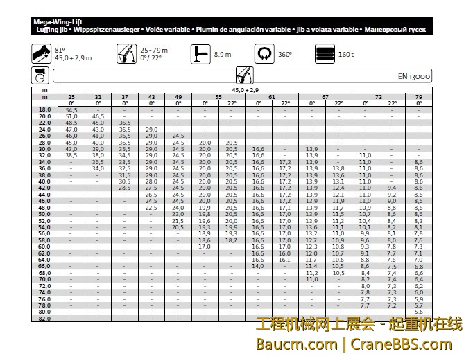 塔臂超起工况.jpg
