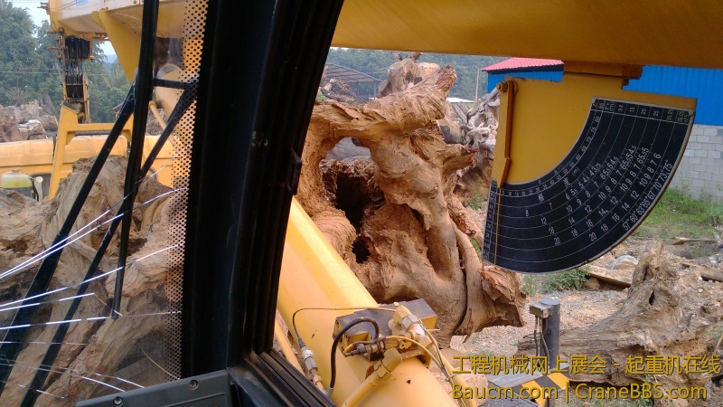 IMG_20130411_173739.jpg