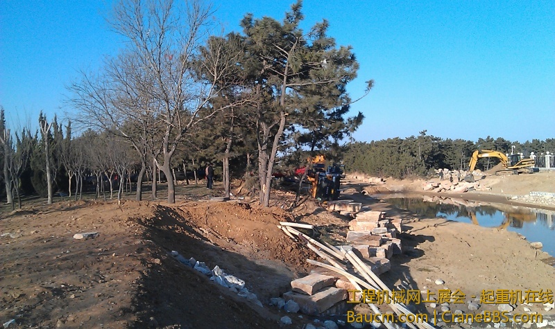 IMAG0099.jpg