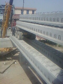 IMG0861A.jpg