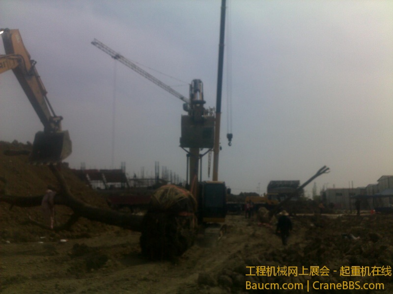 图像711.jpg