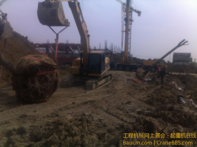 图像712.jpg