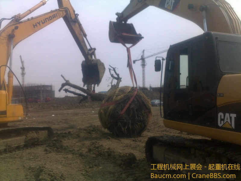 图像707.jpg