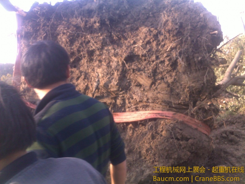 图像719.jpg