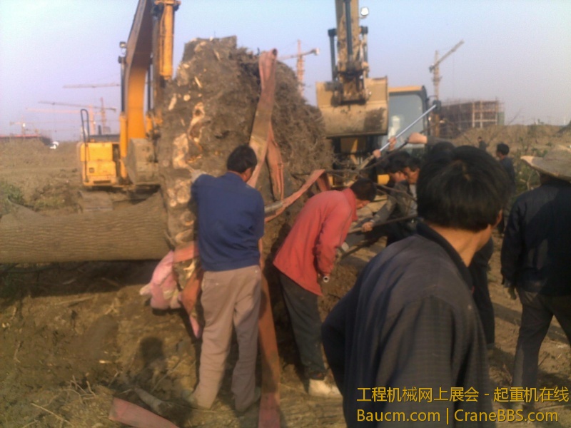 图像723.jpg