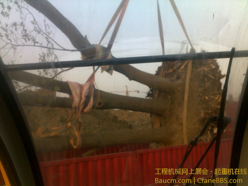 图像737.jpg