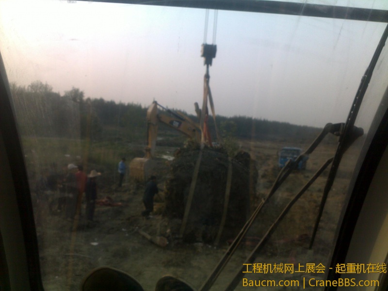图像735.jpg