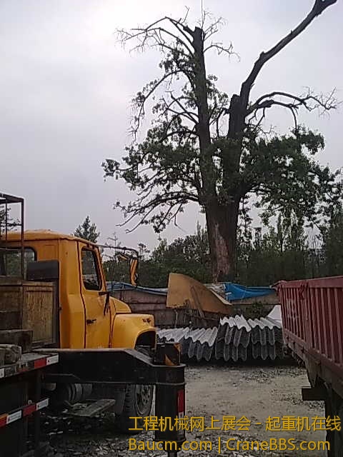 201306042316.jpg