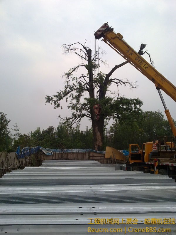 201306042317.jpg