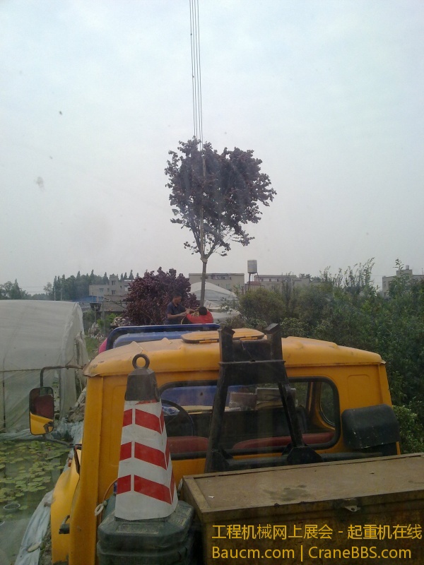 201305312275.jpg