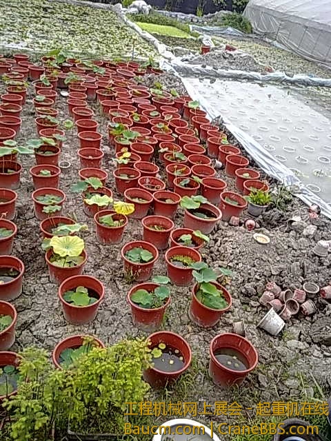 201305312282.jpg