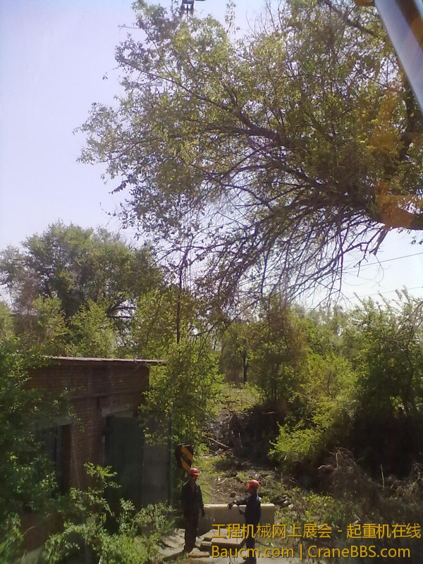 201305231897.jpg