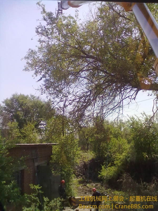 201305231899.jpg