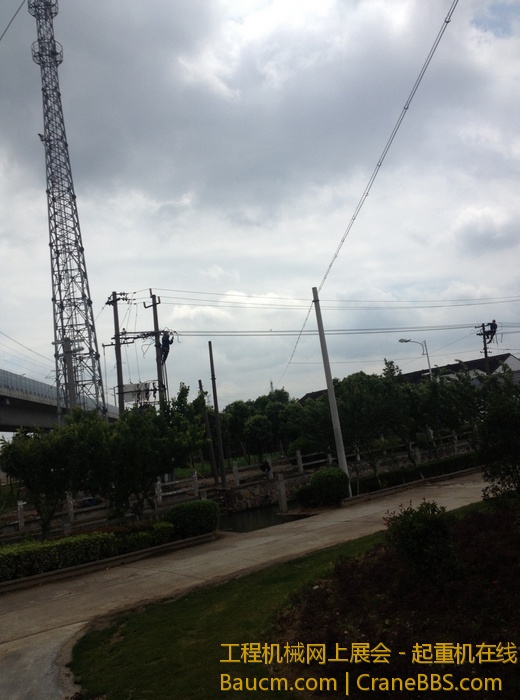 nEO_IMG_毛毛 148.jpg