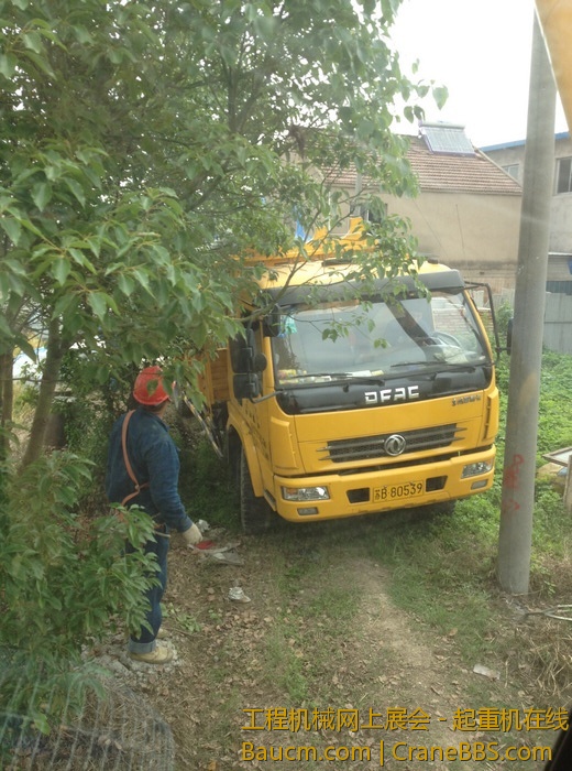 nEO_IMG_毛毛 061.jpg