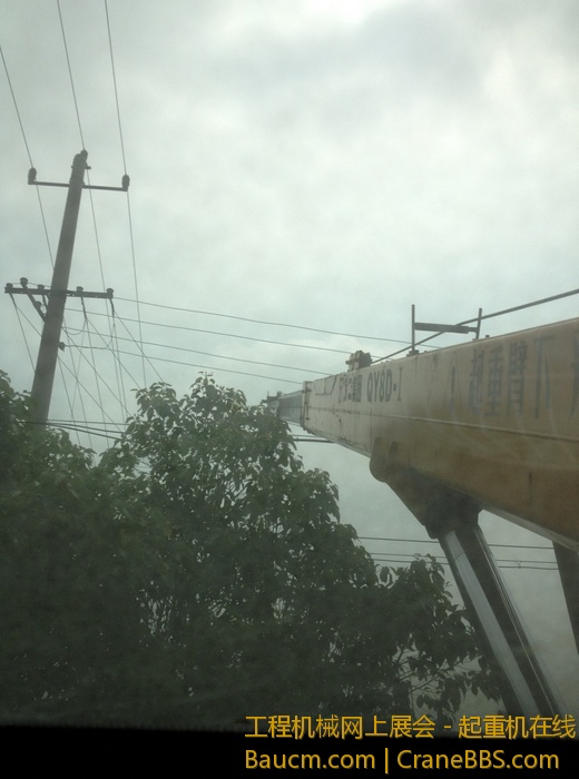 nEO_IMG_毛毛 062.jpg