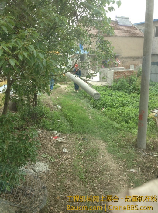 nEO_IMG_毛毛 064.jpg